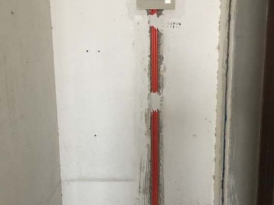 广布红门兰（广布红门兰的图片）