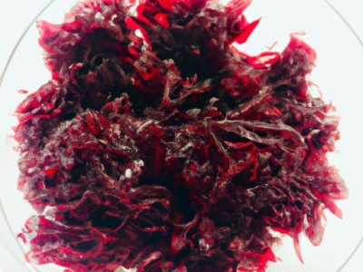 被子买什么材质的最好及被套买什么材质的最好