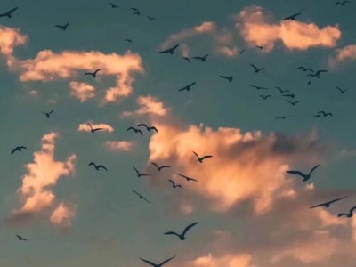 谁有好看的屏保壁纸？