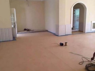 姬红小松（姬红小松的养殖方法）