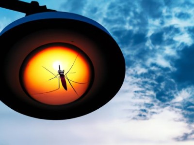 太阳能灭蚊灯，让你夏日无忧