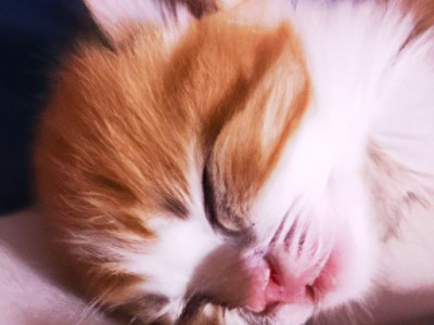 睡眠模式和除湿模式哪个省电及睡眠模式和除湿模式哪个省电些？