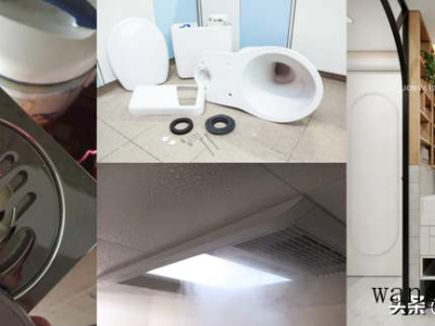 skg和小熊榨汁杯哪个好（skg和小熊哪个品牌好）