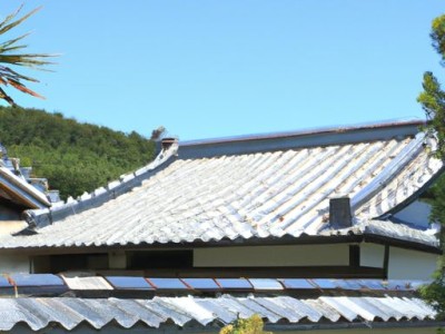 套房屋按比例共有，如何合理分配？