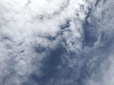 川穹及川穹功效和作用主治