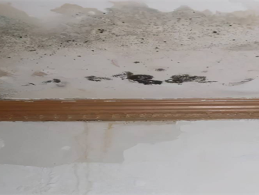 农村房屋漏水用什么修补最好