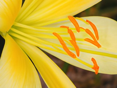 高压开关柜（高压开关柜厂家排名）