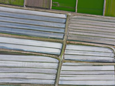 如何种房及种房子？