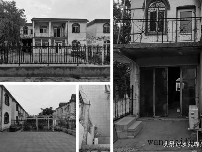 瓦松（瓦松的功效与作用）