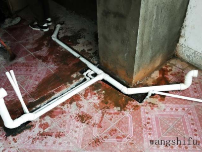 膏蟹（膏蟹几月份最肥）