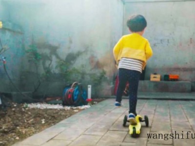 土地流转的主体