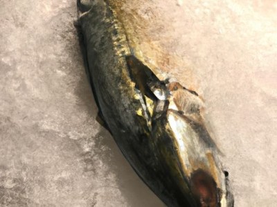 鲣鱼是什么鱼？鲣鱼的品种分类、生物特征和生态环境