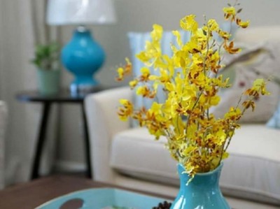 卡西欧是哪个国家的品牌（卡西欧是哪个国家的品牌男表）