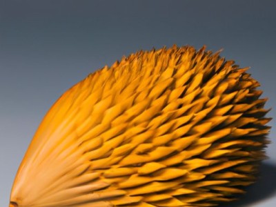 枕芯发黄怎么洗？如何保持枕芯清洁？