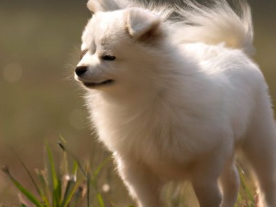 亚麻席和草席哪个凉快及亚麻席和草席哪个凉快些