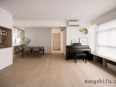 家居风水植物（家居风水植物摆放）