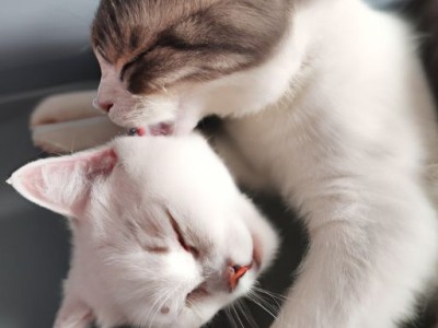 壁纸铺贴超详细流程与常见问答