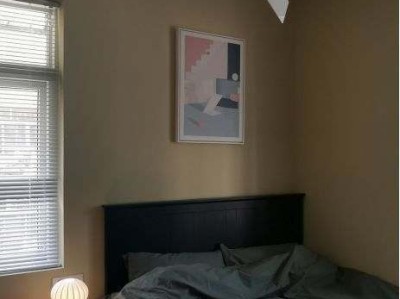 哪个软件能检测甲醛（哪个软件能检测甲醛含量）