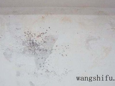 墙面发霉怎么办？原来这么简单（墙面发霉咋办）