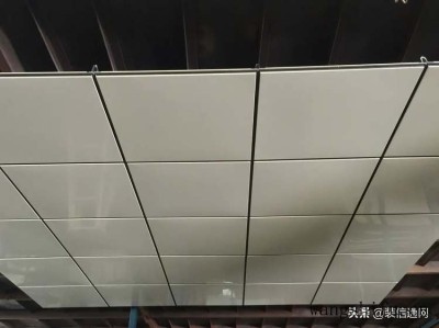 红运当头（红运当头的养殖方法和注意事项陶宝什么花可以浇脾久）