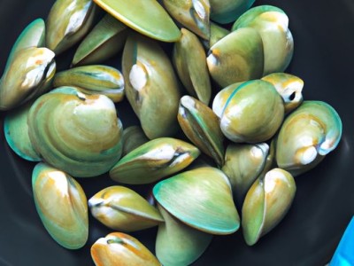 腻子是什么及腻子是什么颜色的