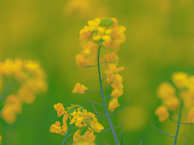 房子漏水吗？建筑防水刻不容缓！