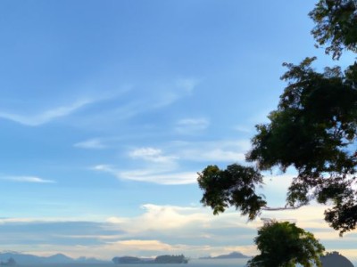 海绵是哪个国家的最好？