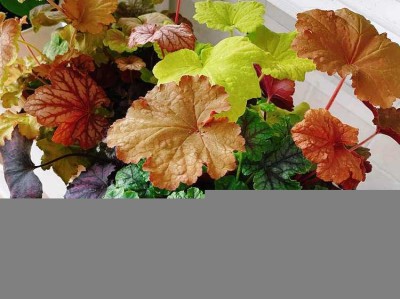 住房证明怎么开？唯一住房证明怎么开