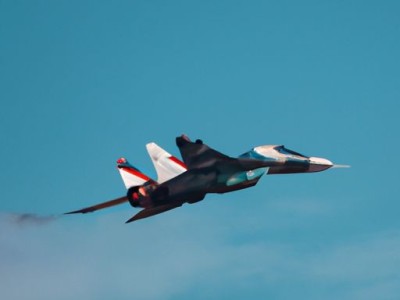 铁冬青雌雄哪个好？铁冬青雌雄同株吗？