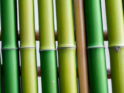 竹帘卷帘窗帘：传统与现代相融的经典之选