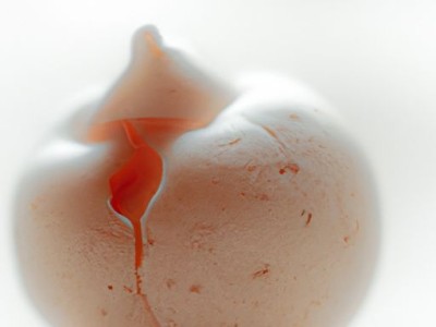 纯棉被及纯棉被罩的选择与使用