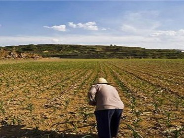 土地流转的流程