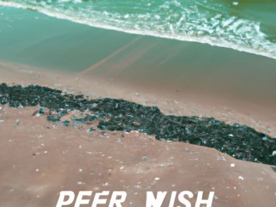 海藻泥漆哪个牌子好？