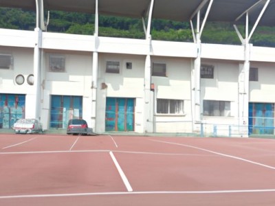 风水植物（风水植物有哪些）