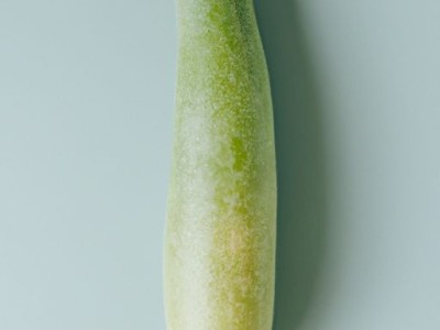 笋瓜——清爽可口的夏季美食