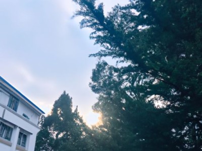 涂料选购三步走 科学选购墙面漆