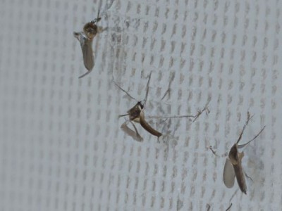 空调蚊帐的好处及使用体验