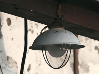 仙人镜（仙人镜仙人掌开花图片）