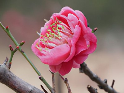 亚陶卫浴（亚陶卫浴在全国的排名）