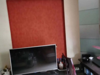 墙衣缺点是什么？想多了解墙衣？