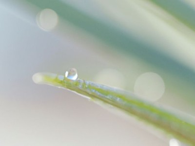 微晶釉与全抛釉哪个好？对比分析