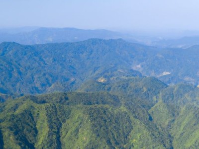 莫干山地板 - 一线品牌的优势与特点