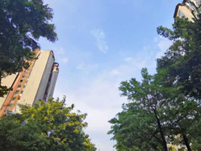 成都哪个区学区房最好？