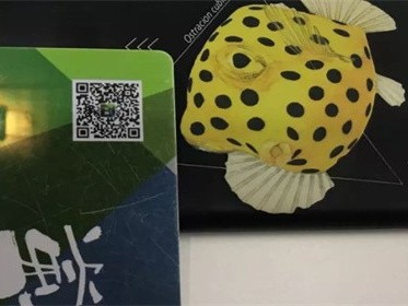 办理天然气卡需要什么手续