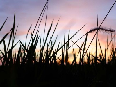 串串房甲醛多久才能释放干净