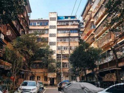 墙纸及手机壁纸图片欣赏