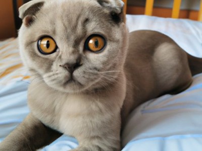 主流室内设计要点有哪些