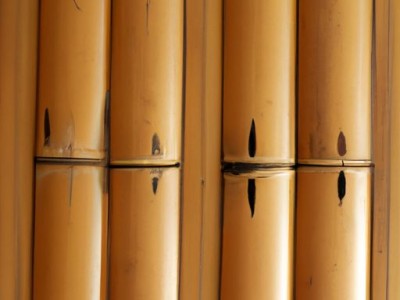 竹地板和木地板的优缺点比较