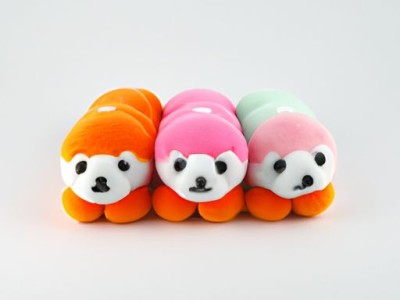 百色熊涂料世界排行榜，百色熊的颜值与实力