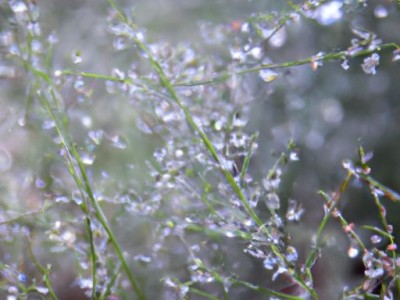 珠帘及珠帘玉幕的历史与起源